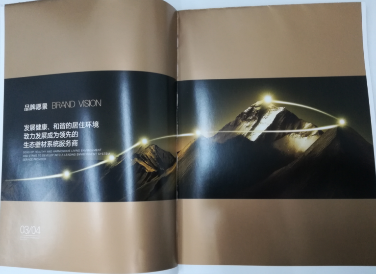 洛迪環(huán)?？萍计髽I(yè)宣傳畫冊印刷圖2